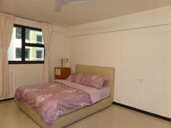 Blk 30 Jalan Klinik (Bukit Merah), HDB 2 Rooms #108779342